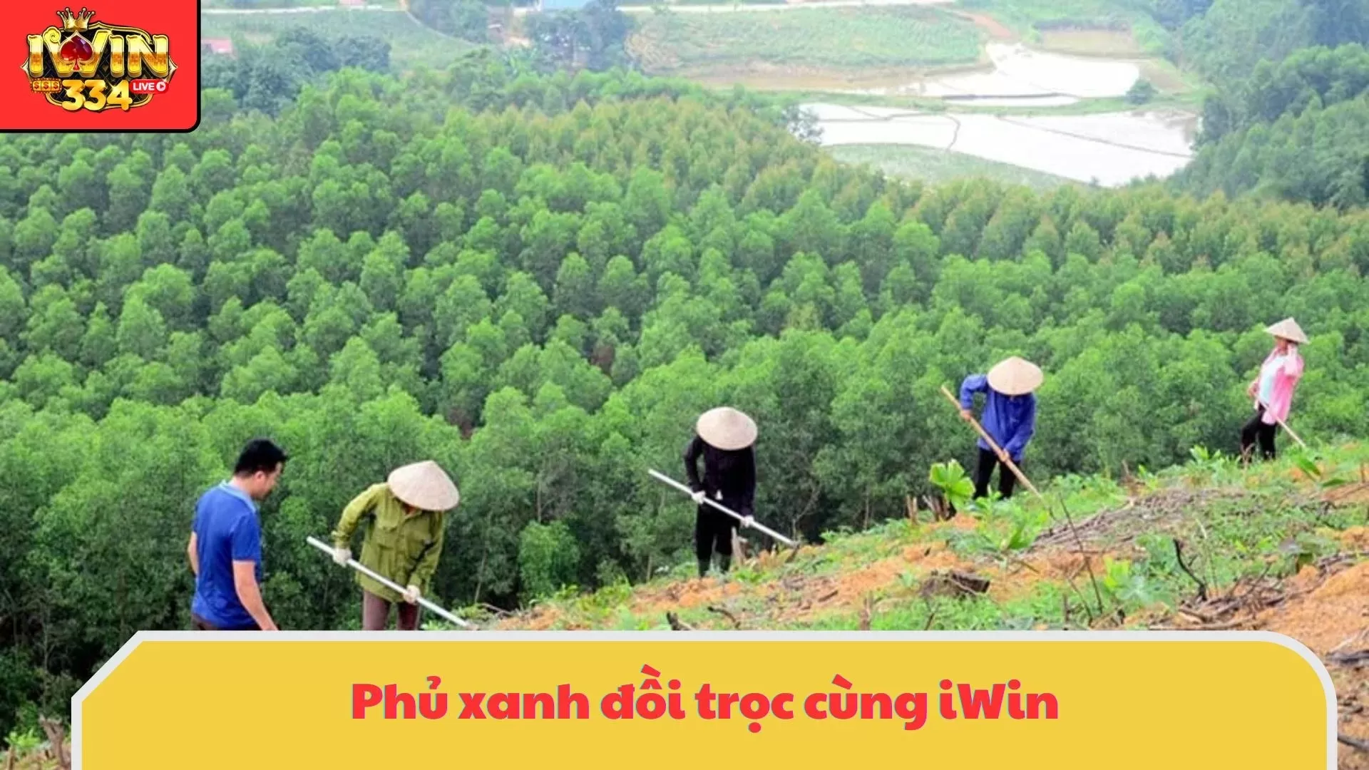Thiện nguyện iWin – Phủ xanh đồi trọc tại tỉnh Kon Tum